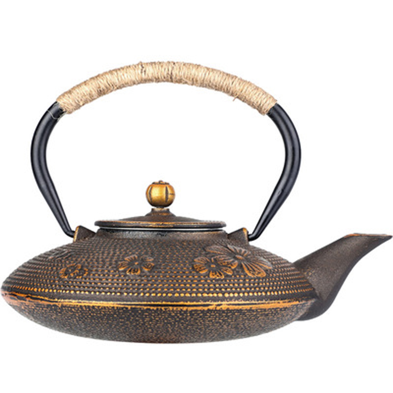 غلاية شاي من أوراق الخيزران من - مراجعة Cast Iron Teapot وسعره