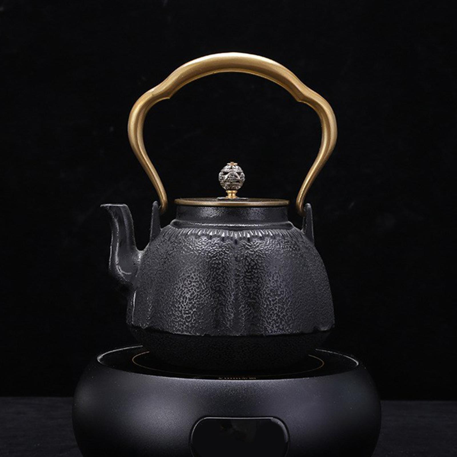 الحديد الزهر براد شاي الحديد إ - مراجعة Cast Iron Teapot وسعره