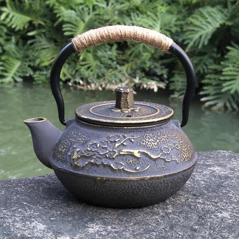 إبريق شاي ياباني من الحديد الز - مراجعة Cast Iron Teapot وسعره